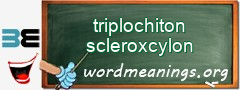 WordMeaning blackboard for triplochiton scleroxcylon